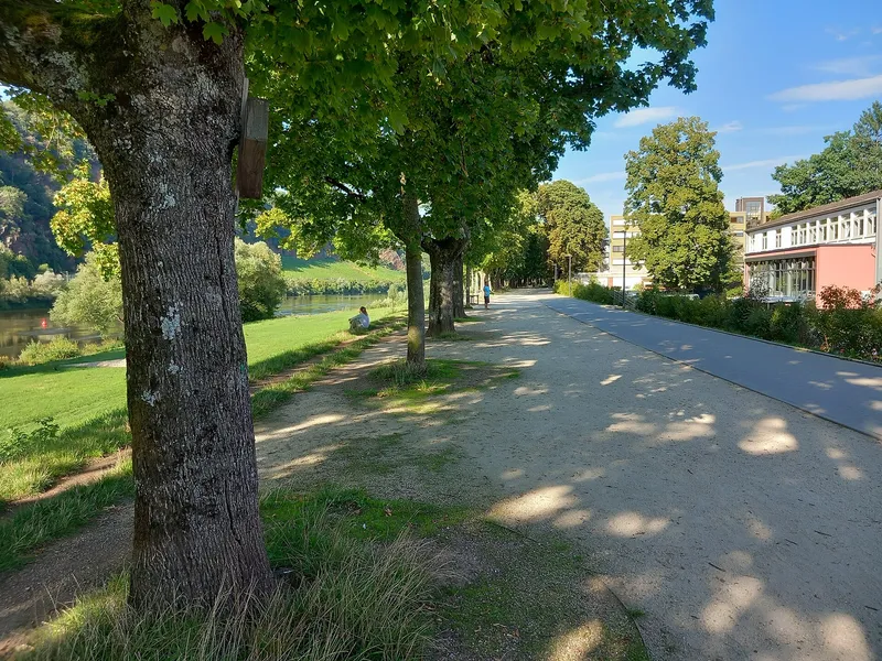 Promenade am Moselufer in Trier