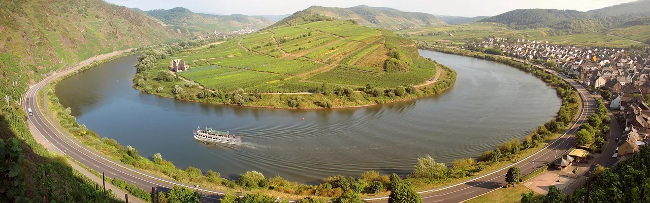 Blick auf die Moselschleife bei Bremm mit steilen Weinbergen im Abendlicht