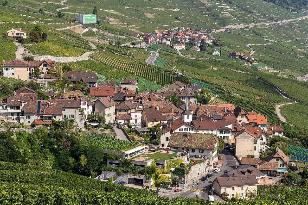 Terrassierte Weinberge fallen in Stufen zum Ufer hin ab