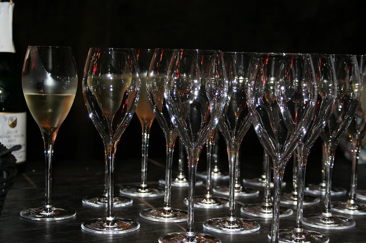 Mehrere gefüllte Weingläser nebeneinander bei einer Weinprobe