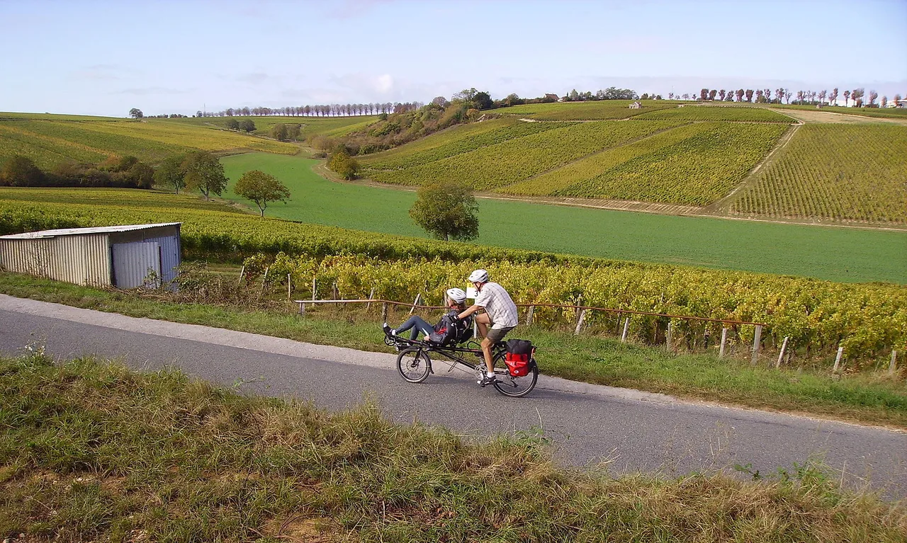 Tandem-Fahrrad auf einem Weg durch die Weinberge einer Weinregion